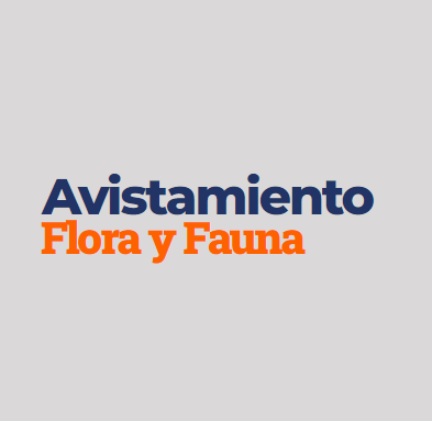 Avistamiento Flora y Fauna